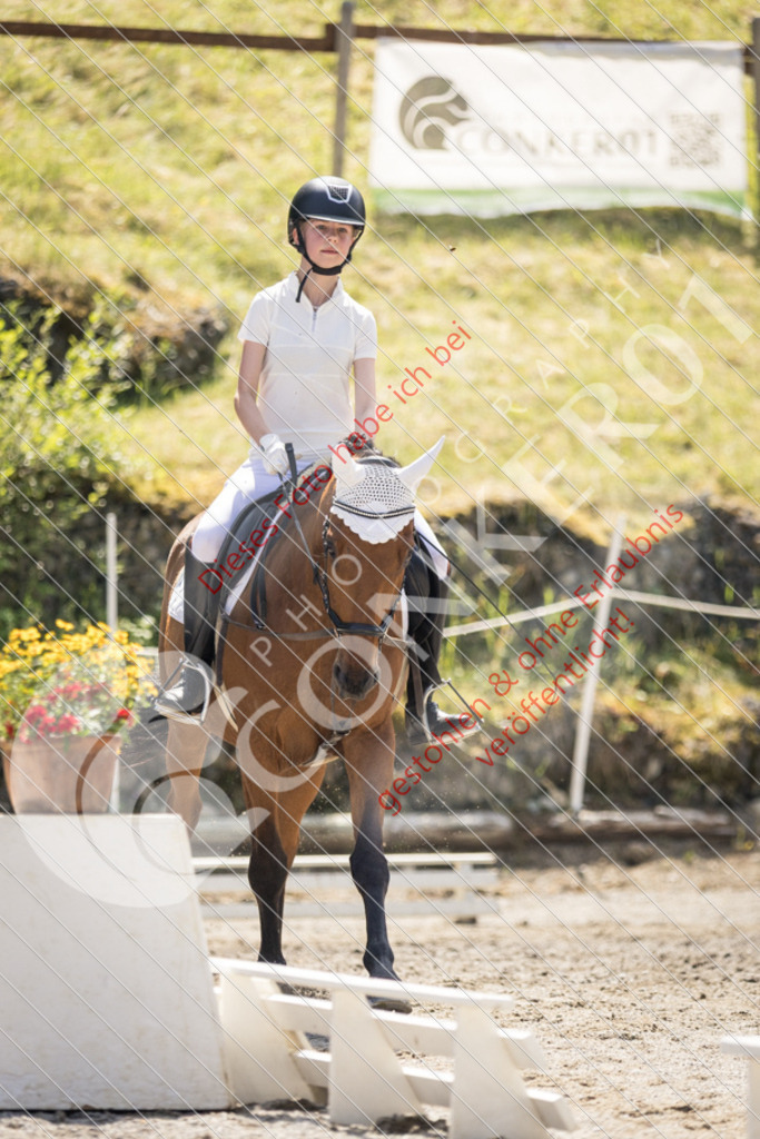 IMG_4669 | Sport-, Event- und Tierfotos in Profiqualität. Einfach auswählen, bestellen und herunterladen. Dein Moment – perfekt festgehalten.