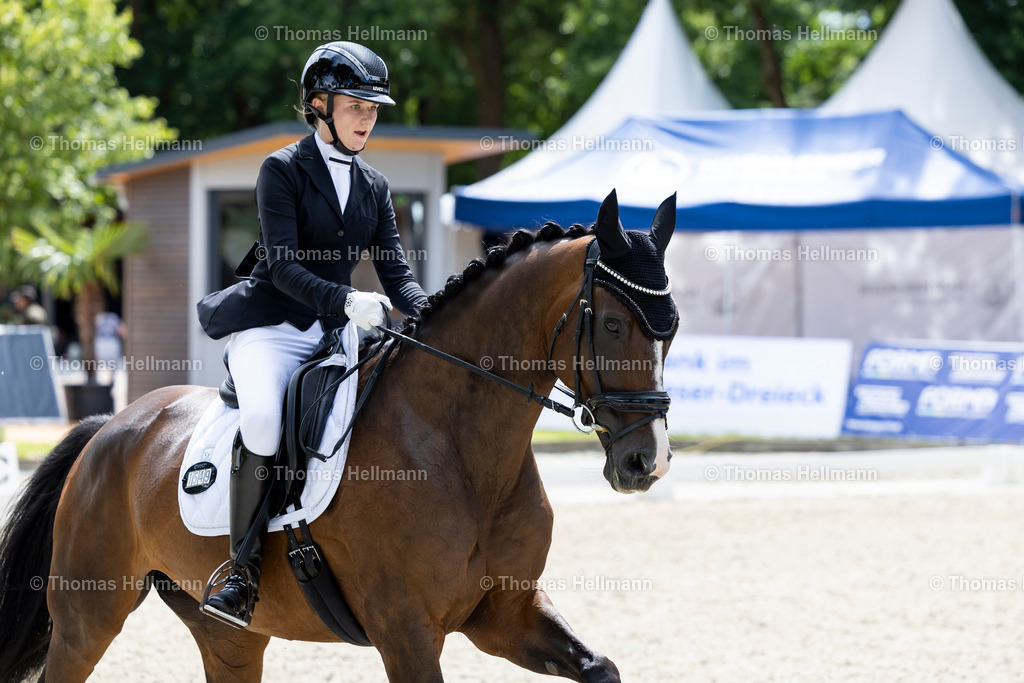 TH_1549 Sia 4 (GER)_ Madlen Heimann_31751 | Elmloher Reitertage 2025 am 01.08.25 in Elmlohe,