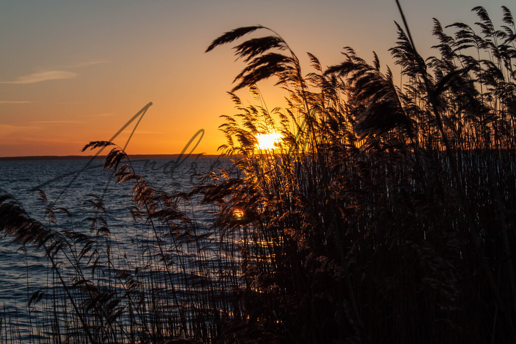 Neujahr am Achterwasser | Sonnenuntergang bei "Knatter" - Realisiert mit Pictrs.com
