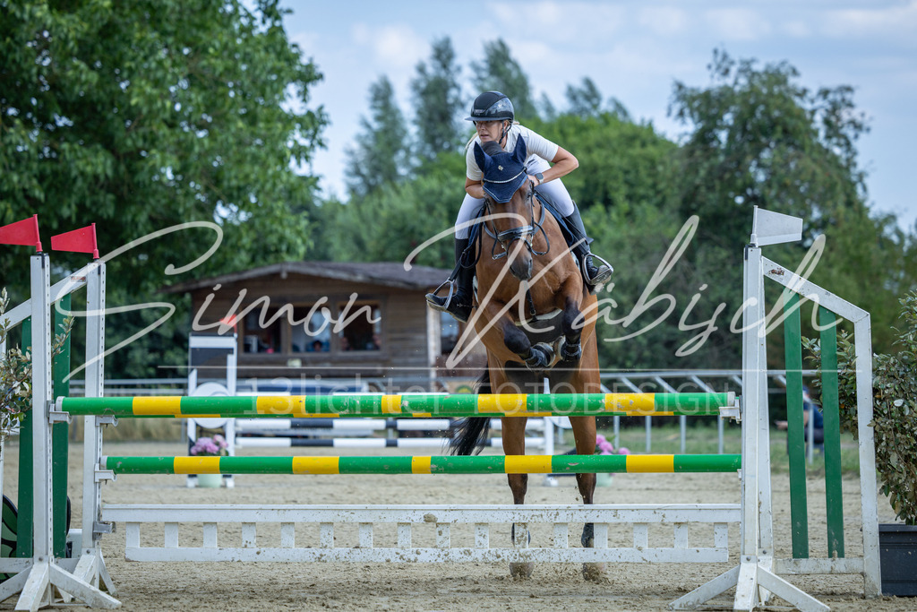 20260704-_3LI2145 | Tierfotografie Pferde, Hunde, Katzen, Haustiere.
Turnierfotografie Reitturniere, Reiten, Springreiten, Dressur in Hanau, dem Main-Kinzig-Kreis und dem Rhein-Main- Gebiet um Frankfurt