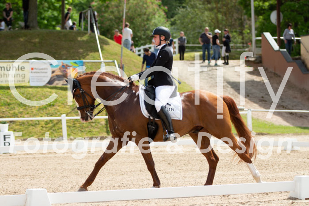 IMG_6471 | Creatify Fotografie