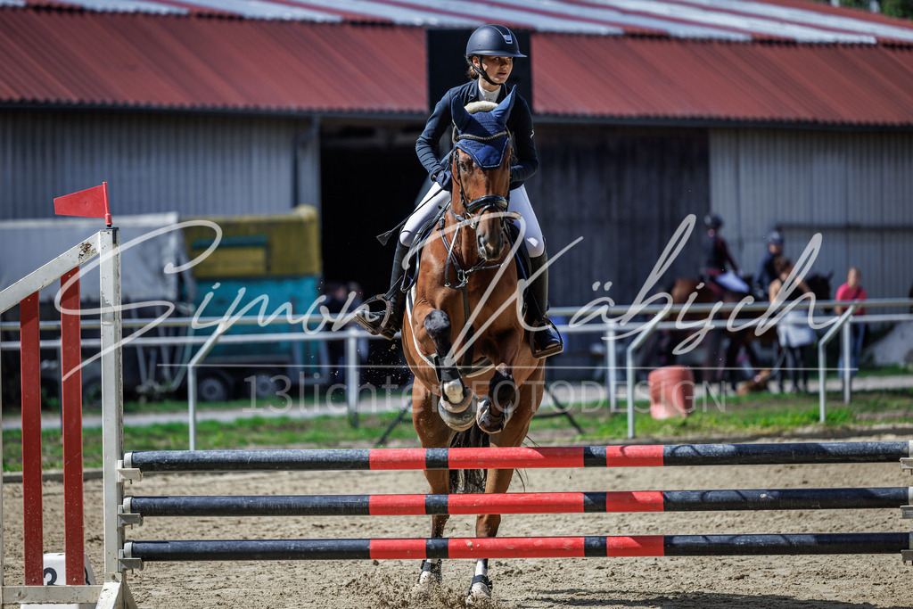 20260905-_3LI8624 | Tierfotografie Pferde, Hunde, Katzen, Haustiere.
Turnierfotografie Reitturniere, Reiten, Springreiten, Dressur in Hanau, dem Main-Kinzig-Kreis und dem Rhein-Main- Gebiet um Frankfurt