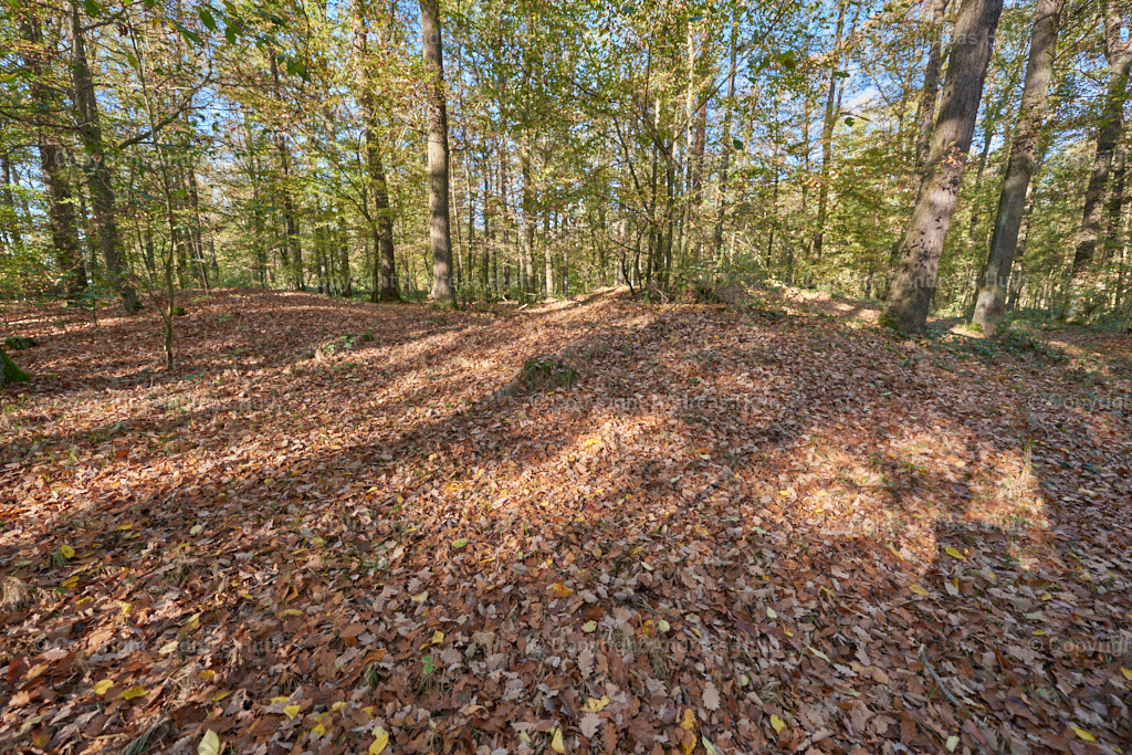 Die Hügelgräber im Lindigt bei Wermsdorf  03 | Bedeutsame Landschaften Deutschlands - Realisiert mit Pictrs.com