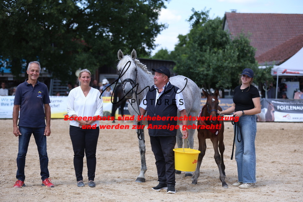 Fohlenschau_Schwäbisch_Hall_springbetonte_Fohlen_RESERVE SIEGERFOHLEN_KN 23_8 | lmwpictures - Realisiert mit Pictrs.com