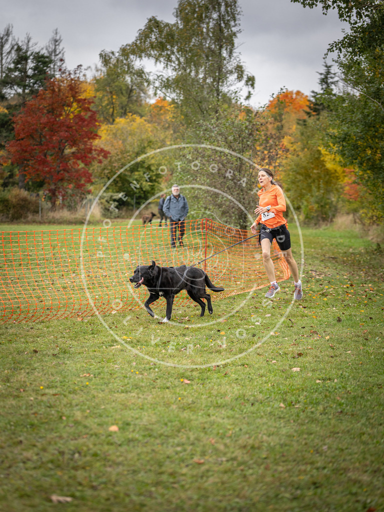 Pfotenfotografie_DV3A3075 | Hundefotografie, Tierfotograf, Pfotenfotografie, Fotoshooting Hund, Hunde Portrait, Hundesport, Hundeportraits, Heideshooting, Hunde, Sportfotograf, Hundefotograf, Turnierhundsport, THS,  - Realisiert mit Pictrs.com