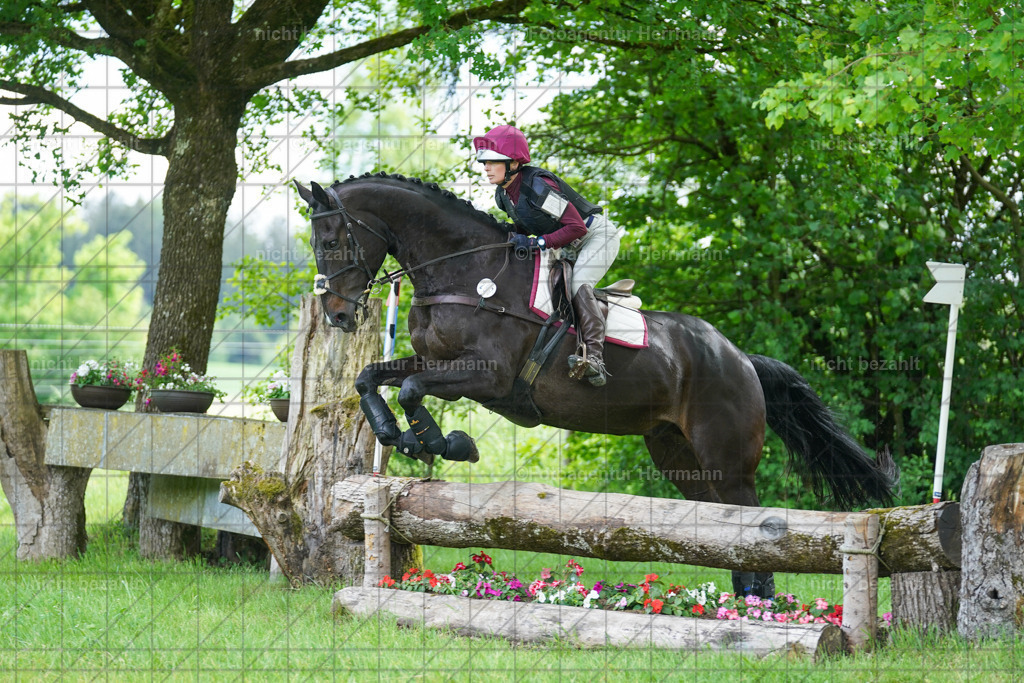 20240518-FAH03834 | Turnierbilder von Niederseon, Turnierfotografen Bayern, Fotoagentur Herrmann, Geländebilder, Reitsportfotografie