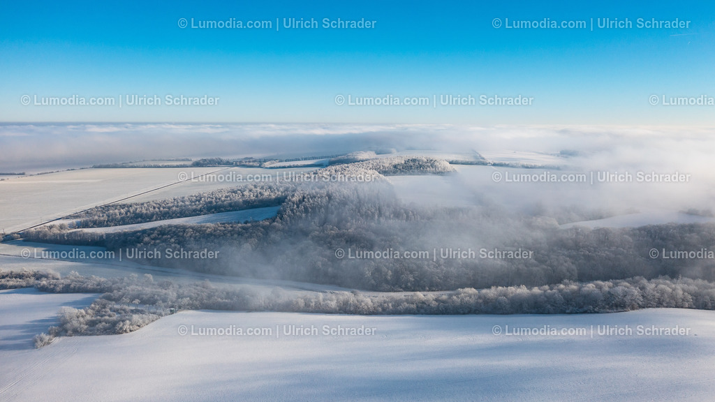 10049-51535 - Ein Wintertag | Stockfoto und Bilderpool mit Bildmaterial aus Deutschland, dem Harz, Halberstadt, Quedlinburg, Wernigerode und weltweit. Qualitativ hochwertige und professionelle Fotos anschauen und kaufen. - Realisiert mit Pictrs.com