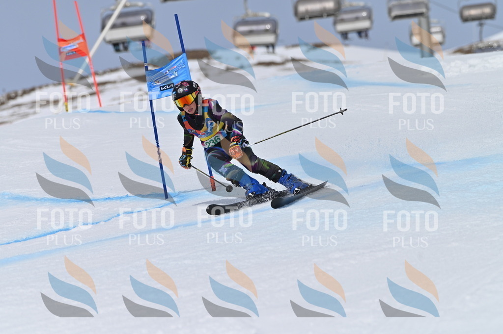 BGV_4688 | holidayphoto