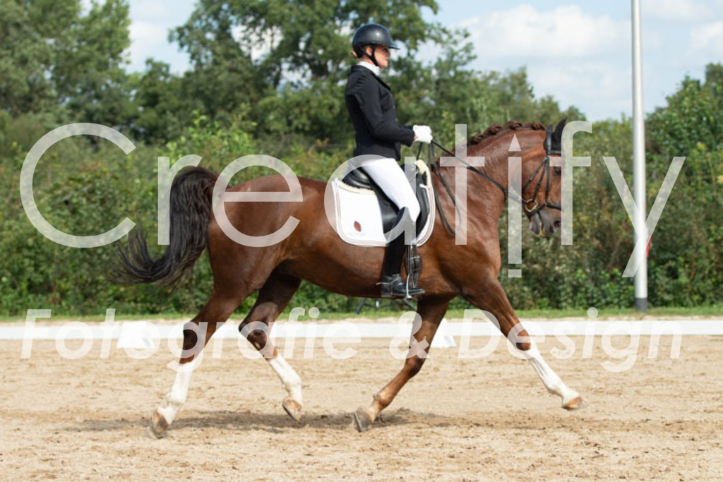 IMG_3470 | Creatify Fotografie