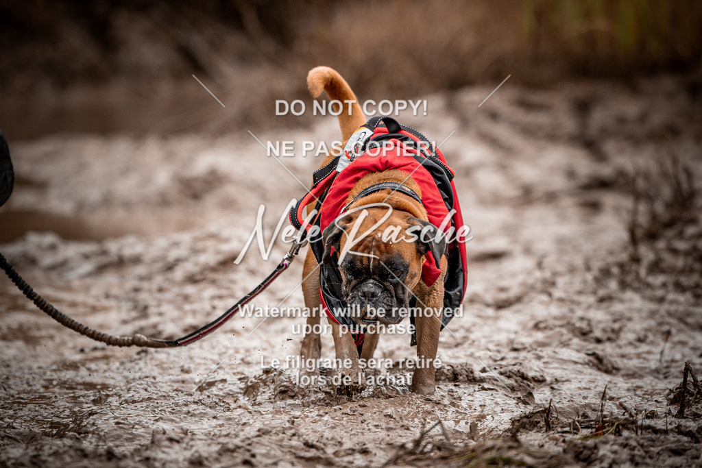 nelerasche_Creepy2025_Sa10-11_207 | nelerasche