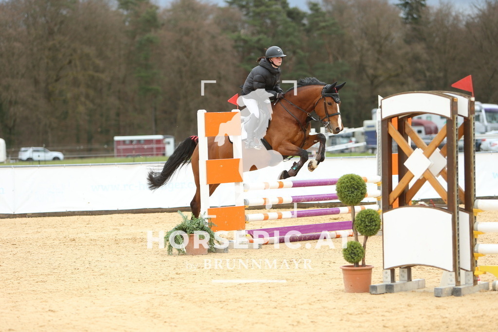 DL2Q1952 | Willkommen bei Brunnmayr - Design & Fotografie – Ihrem Spezialisten für Reitturniere und Pferdeveranstaltungen in Oberösterreich, Salzburg und Bayern! Seit über 17 Jahren sind wir leidenschaftlich dabei.