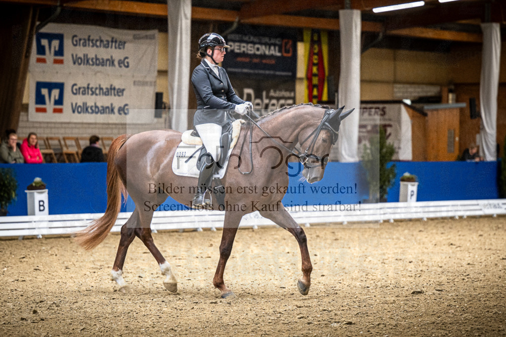 DOS_1489 | Entdecke hochwertige Reitturnierfotos von Foto Oger. Professionell, emotional und authentisch – jetzt Lieblingsmomente im Shop bestellen.Deutschlandweite Turnierfotografie. - Realisiert mit Pictrs.com