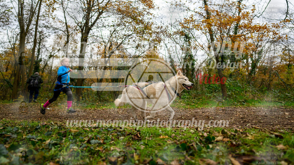 MompixPhotography_Bischwiller24_DI_CoursedeRelais-62 | PayLife