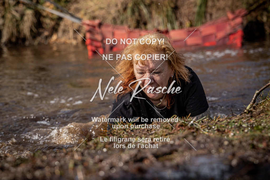 nelerasche_FS1330-1400_08 | nelerasche