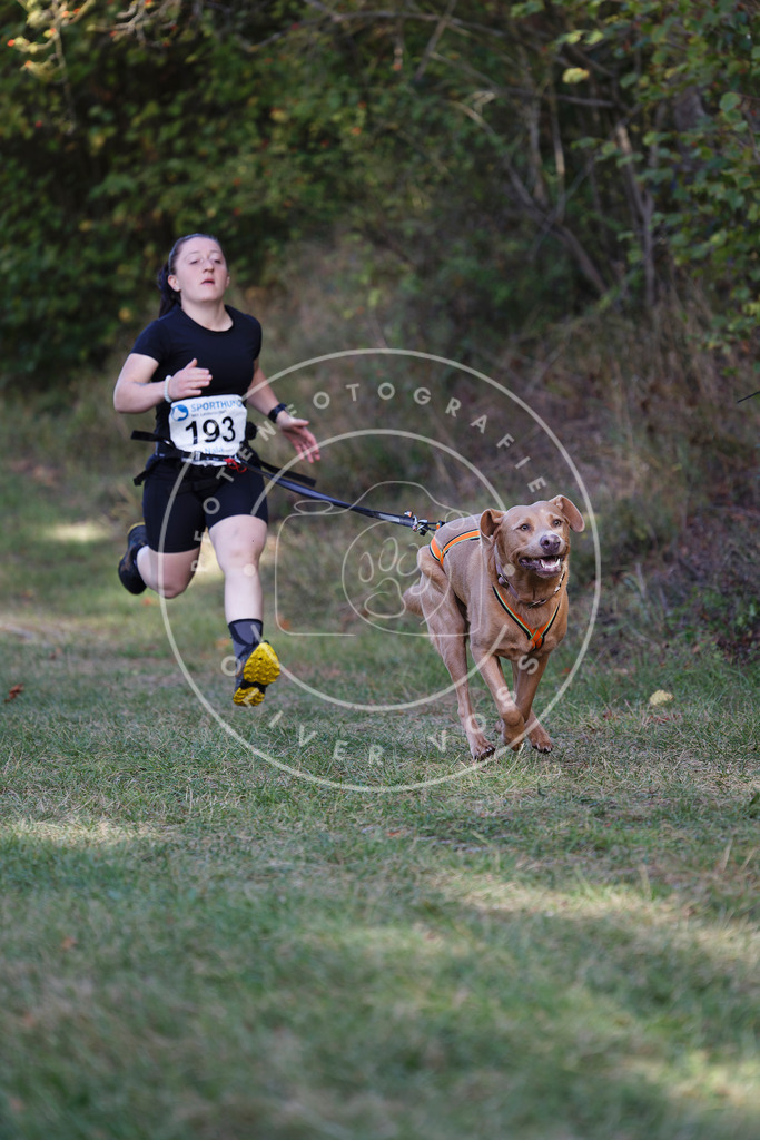 0L8A5433 | Hundefotografie, Tierfotograf, Pfotenfotografie, Fotoshooting Hund, Hunde Portrait, Hundesport, Hundeportraits, Heideshooting, Hunde, Sportfotograf, Hundefotograf, Turnierhundsport, THS,  - Realisiert mit Pictrs.com