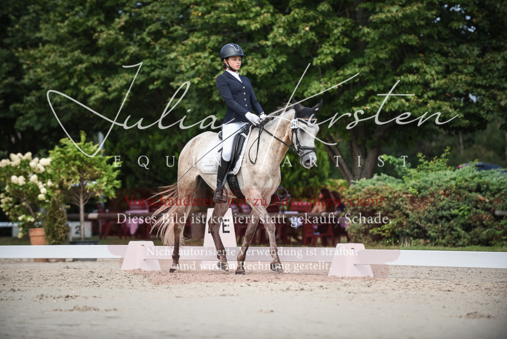 DSC_8686 | Pferde- und Turnierfotografie in Westsachsen. Pferdeportraits, Auftragszeichnungen und intuitive Kunst.