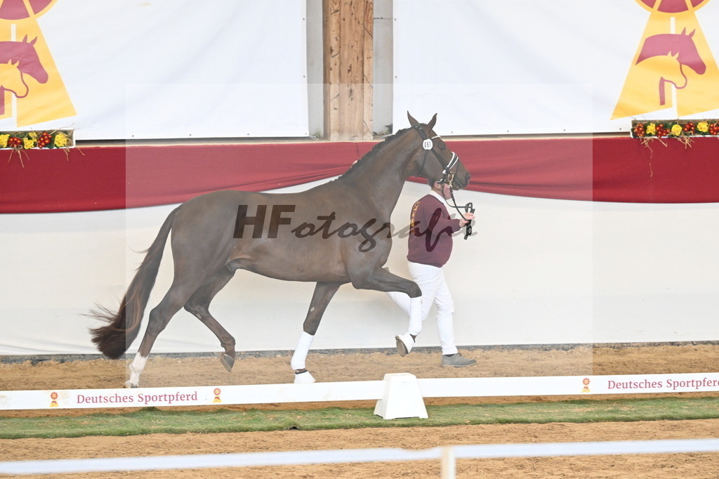 Kat.-Nr. 87 v. Vitalis_Kühnle_3261276 | hf-fotografie - Realizzato con Pictrs.com