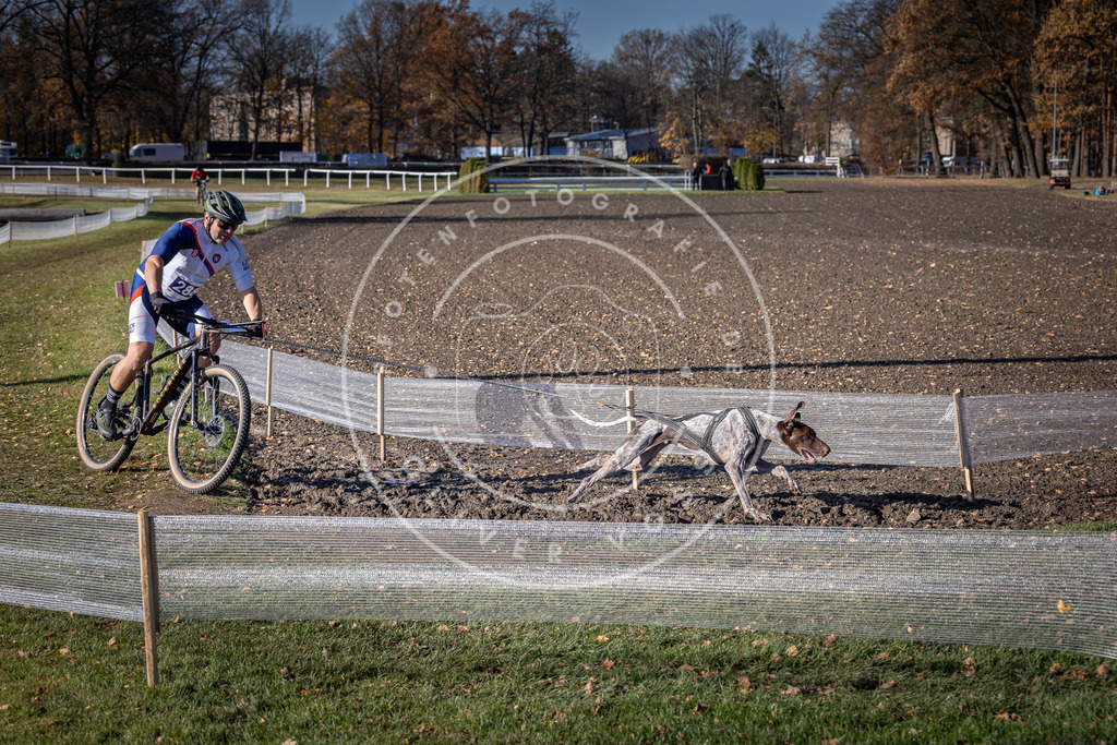 CaniXpix_DV3A5767 | Hundefotografie, Tierfotograf, Pfotenfotografie, Fotoshooting Hund, Hunde Portrait, Hundesport, Hundeportraits, Heideshooting, Hunde, Sportfotograf, Hundefotograf, Turnierhundsport, THS,  - Realisiert mit Pictrs.com