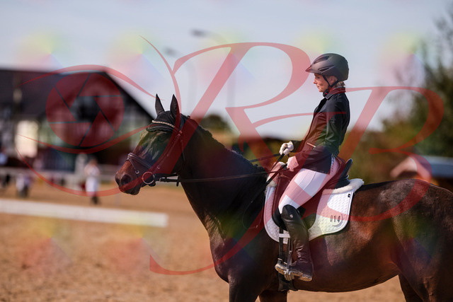 2026_10_03_Siefer-Hof_133417_Z81_93041445 | Professionelle Reitsport-, Turnier- und Eventfotografie von Robert Broda. Galerien mit ausgewählten und bearbeiteten Bildern direkt online ansehen und bestellen.