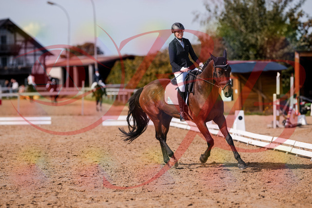 2026_10_03_Siefer-Hof_123140_Z81_30215162 | Professionelle Reitsport-, Turnier- und Eventfotografie von Robert Broda. Galerien mit ausgewählten und bearbeiteten Bildern direkt online ansehen und bestellen.