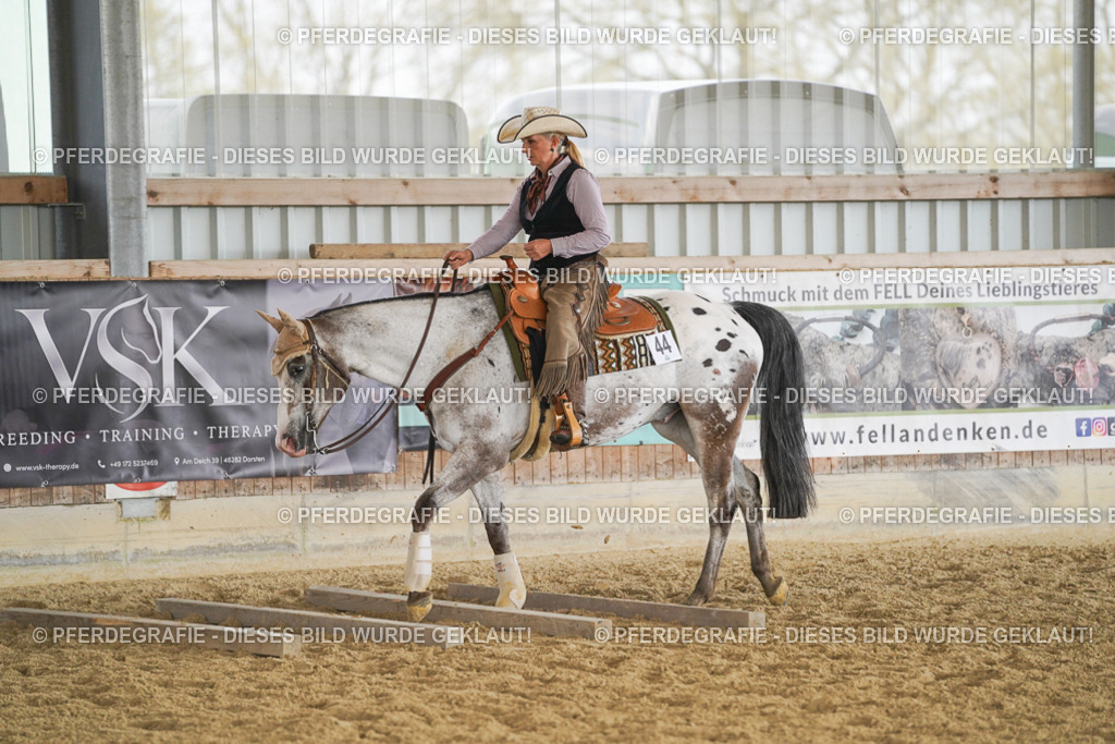 DSC01917 | Pferdegrafie