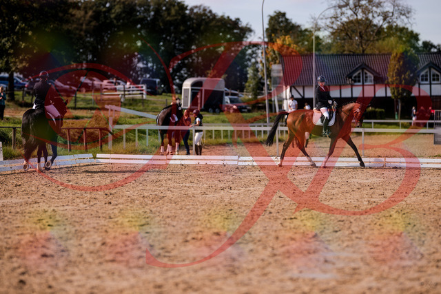 2026_10_03_Siefer-Hof_131928_Z81_68639004 | Professionelle Reitsport-, Turnier- und Eventfotografie von Robert Broda. Galerien mit ausgewählten und bearbeiteten Bildern direkt online ansehen und bestellen.