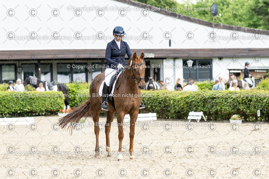 CL5A4933-2 | Emilia Reinking Fotografie - Realisiert mit Pictrs.com