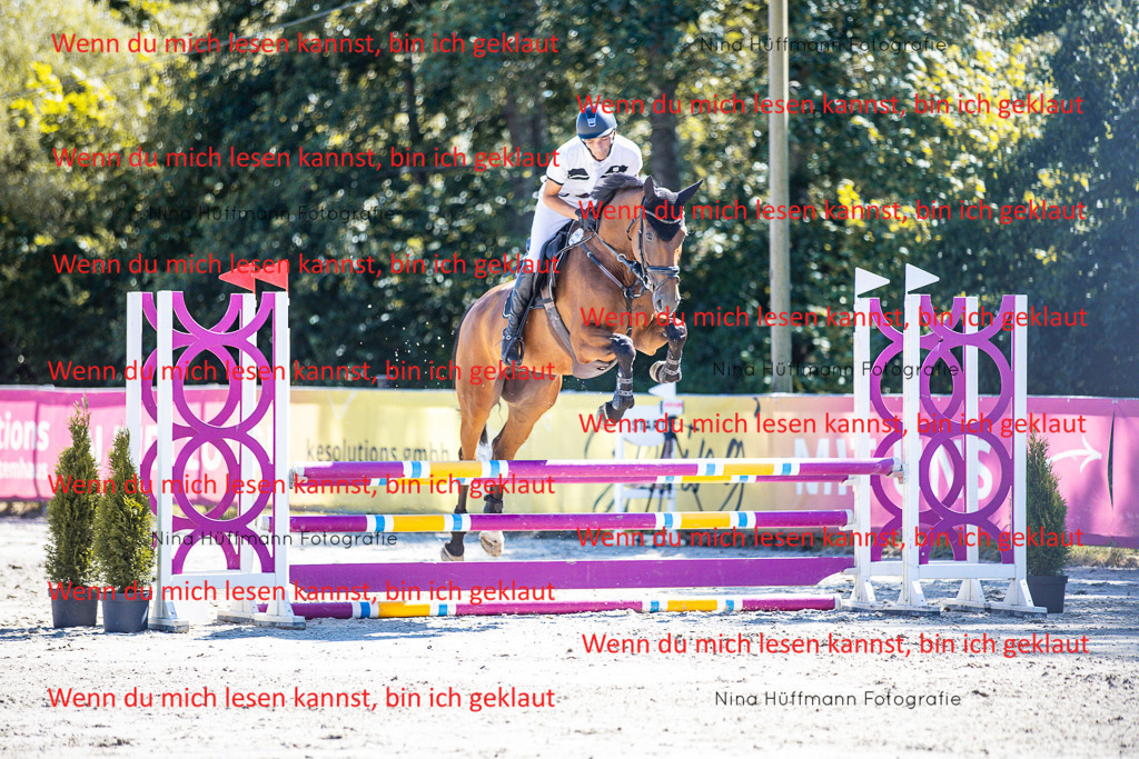 BK1A5590 | Turnierbilder Turnierfotos Nina Hüffmann Turnierfotografie Pferdefotografie Tierzeichnung Haustierzeichnung Pferdezeichnung Hundezeichnung Videograf  - Realisiert mit Pictrs.com