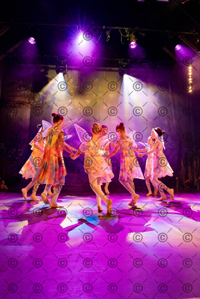 Ballettaufführung-183 | Bildershop Lem'n Entertainment - Realisiert mit Pictrs.com