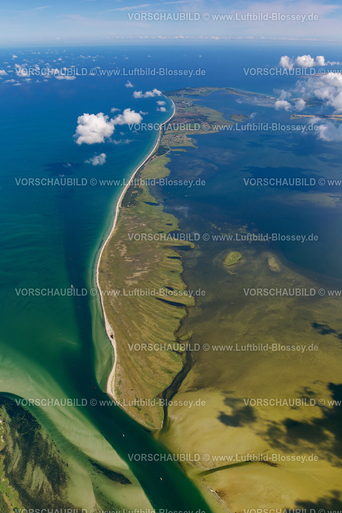 Hiddensee12082780 | Süden der Insel Hiddensee, Naturschutzgebiete Gellen und Gänsewerder, Naturschutzgebiet Dünenheide, Heidelandschaft, Hiddensee, Ostseeinsel, Mecklenburg-Vorpommern, Deutschland, Europa
