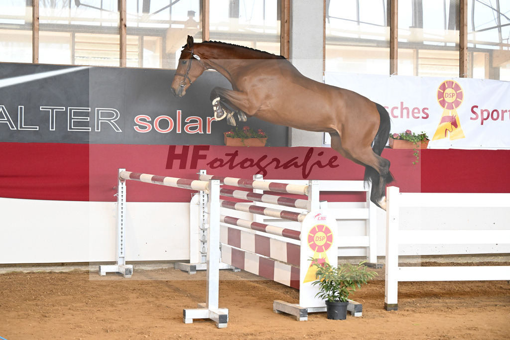 Kat-Nr. 45 Chincher ZSZ v. Chinchero_Hieber_7251078 | hf-fotografie - Realizzato con Pictrs.com