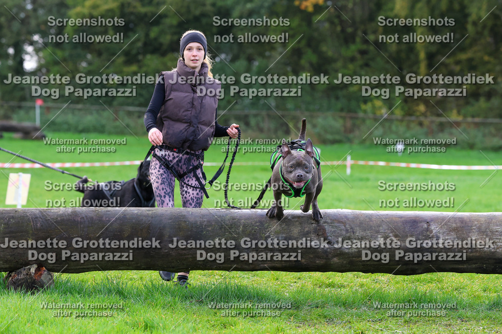 Dog Paparazzi -  SD1026-2234 | Dog Paparazzi Jeanette Grottendiek Fotografie & Videografie - Realisiert mit Pictrs.com