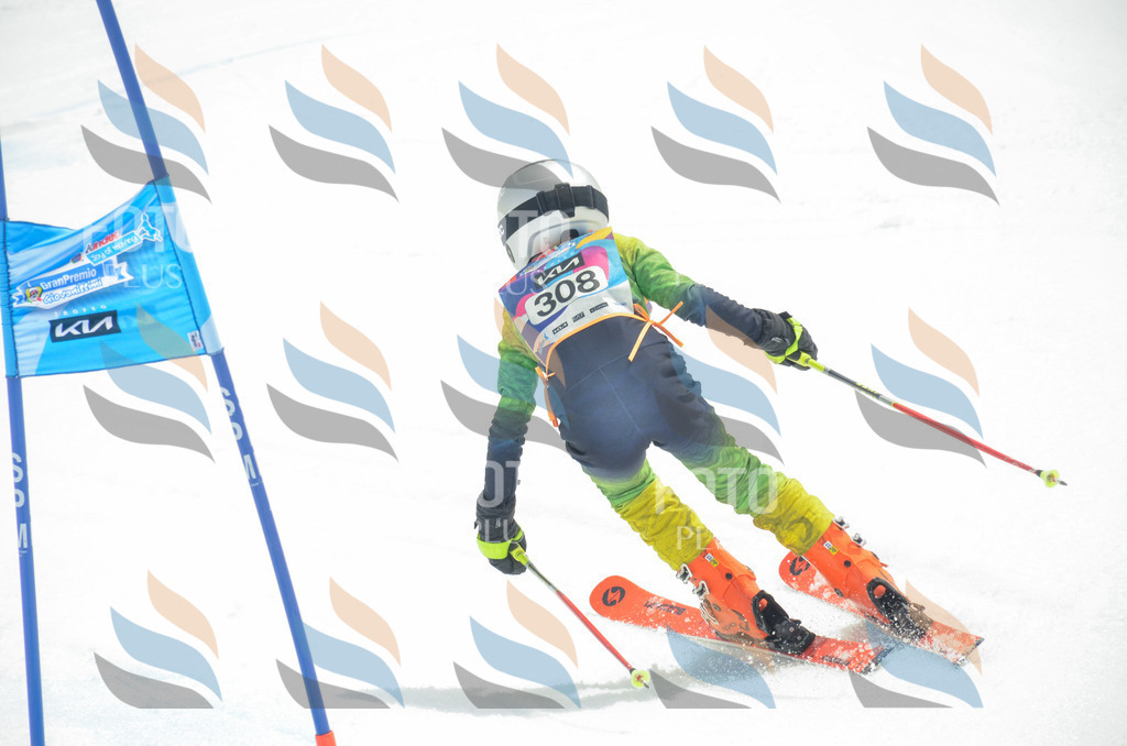 _ELE8365 | holidayphoto