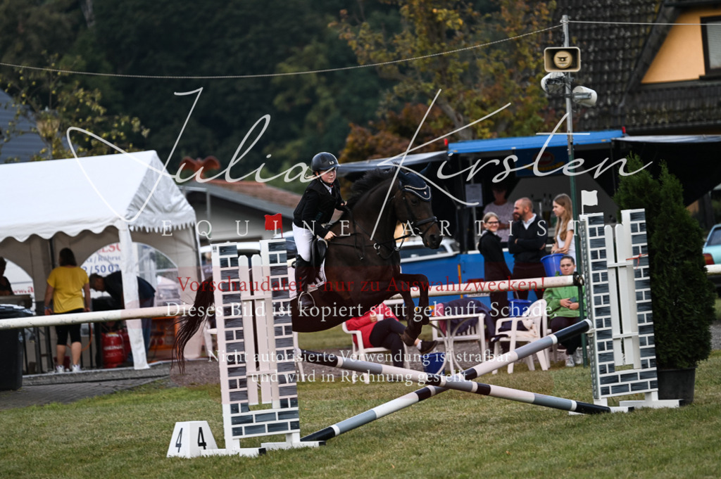 DSC_5582-2 | Pferde- und Turnierfotografie in Westsachsen. Pferdeportraits, Auftragszeichnungen und intuitive Kunst.