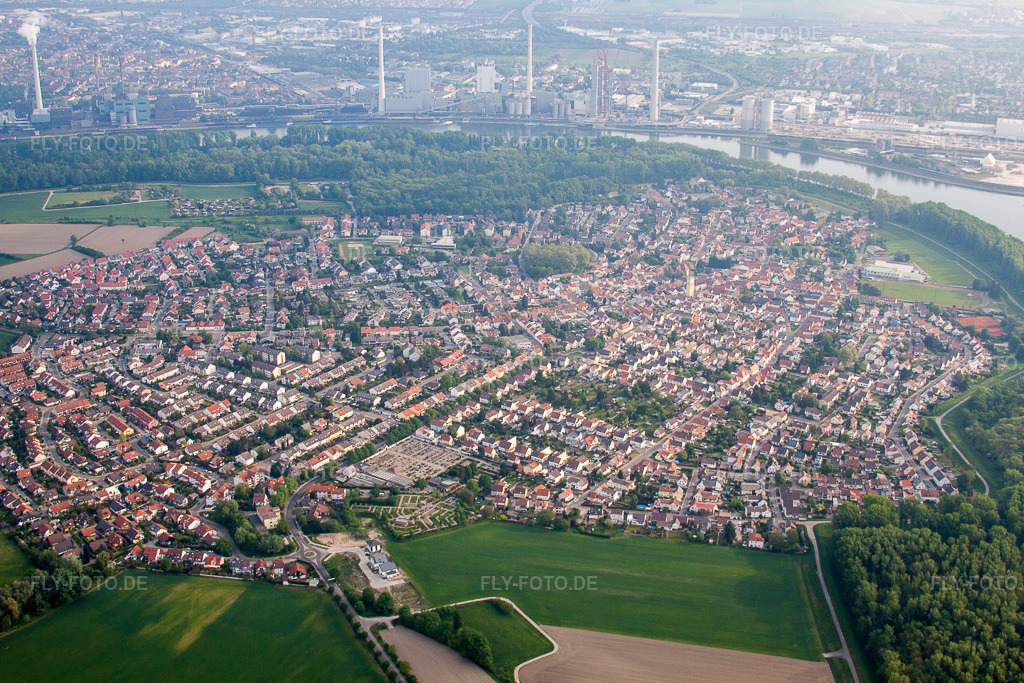 Luftbild: Ortsansicht der Straßen und Häuser der Wohngebiete in Altrip im Bundesland Rheinland-Pfalz in Deutschland. Foto: IMG_40492.jpg vom 24.04.2011 durch Werner Riehm/FLY-FOTO.de