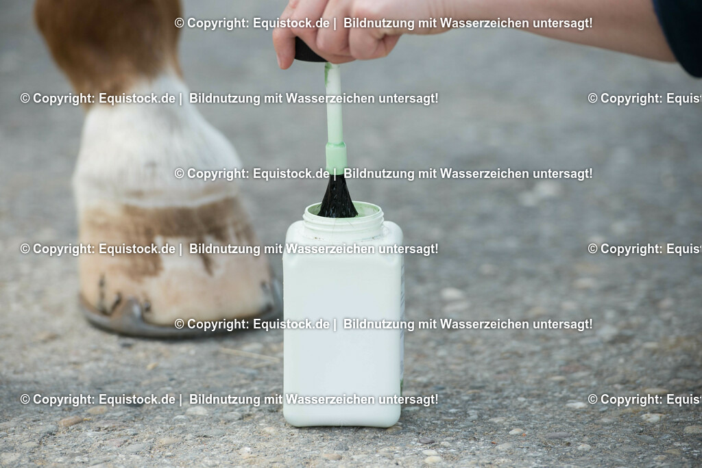 20160626_Hufpflege_0014 | Foto: Thomas Hartig