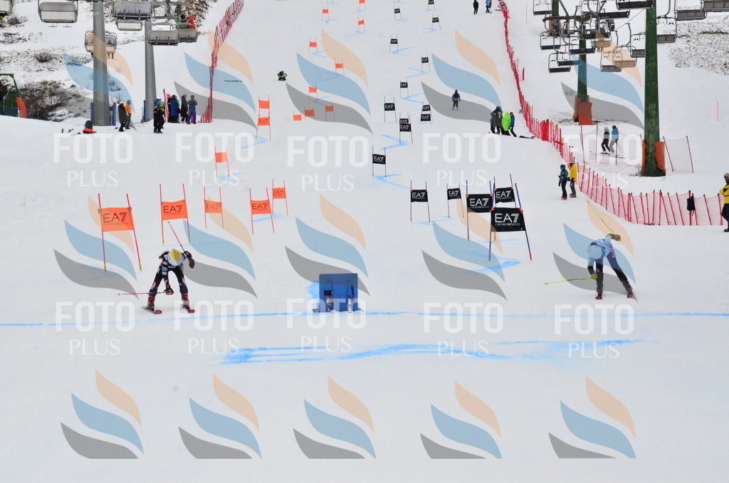 _ELE3697 | holidayphoto