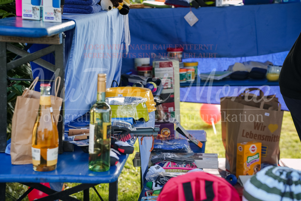 20250928_Hunderennen-337 | MuT (Mensch und Tier) mit Mona - Fotografie und Tierkommunikation - Realisiert mit Pictrs.com