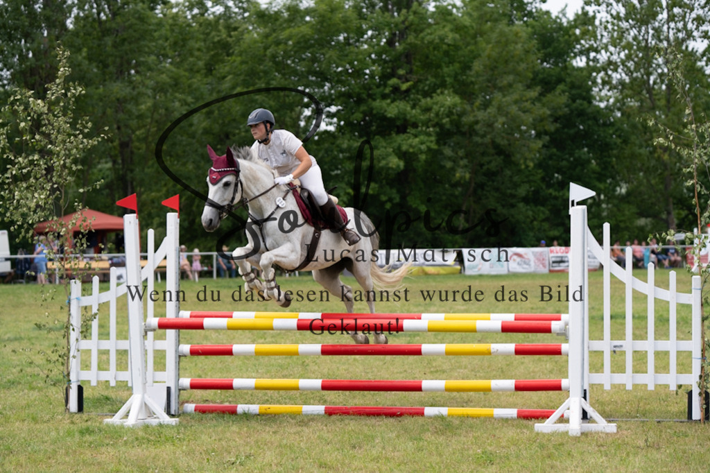 A7V06797 | Pferdefotograf