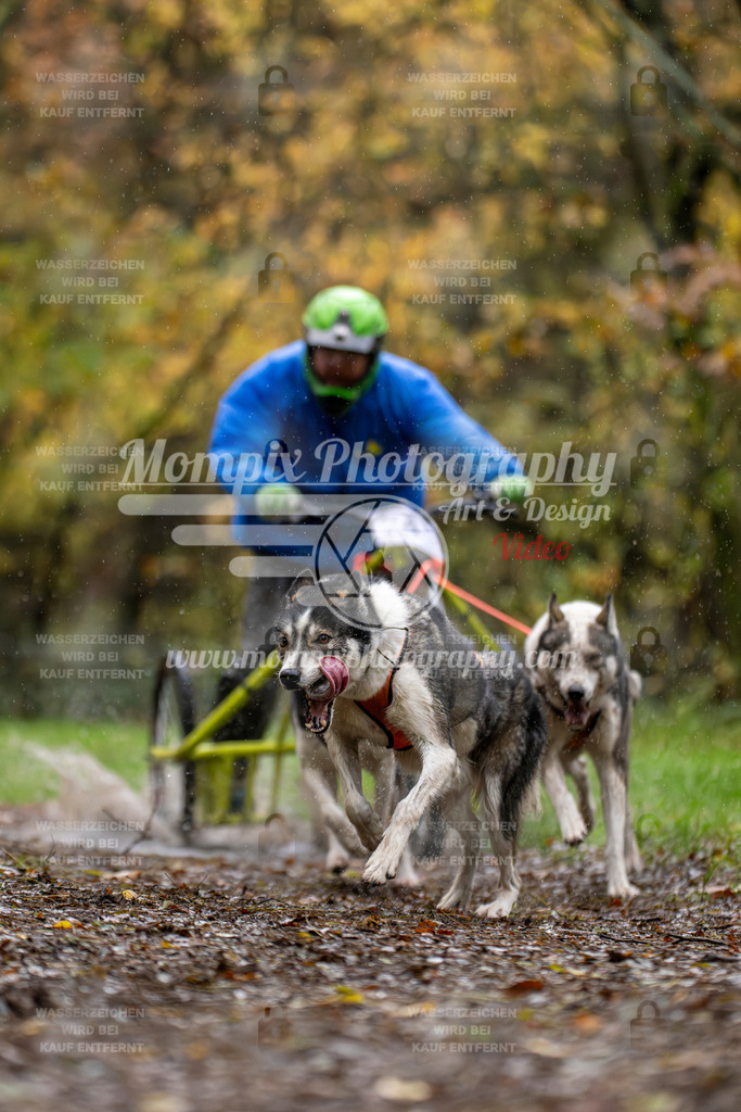 MompixPhotography_Bischwiller23_Kart-9 | PayLife