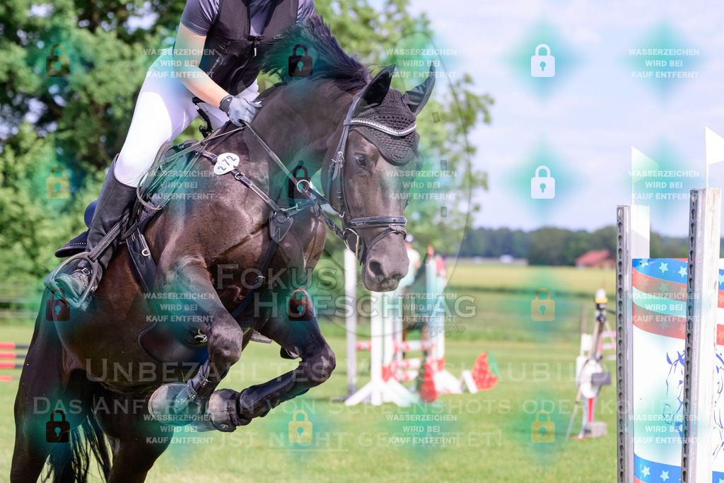 30052026-Forstinning-Prfg20-0002 | Fokus Hufschlag Fotografie - Realisiert mit Pictrs.com