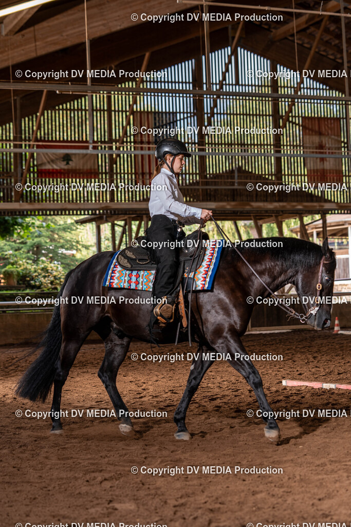 Erbach Tag 2-239 | dv-media-shop - Realisiert mit Pictrs.com