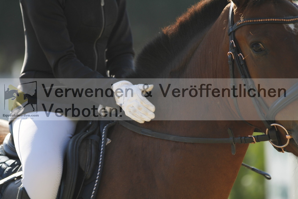 _MG_1361 | equestrian-live-com