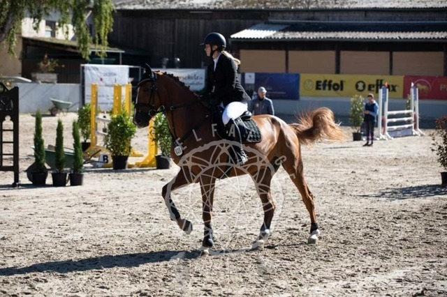 2B4A0250 | pixelfaenger - Realisiert mit Pictrs.com