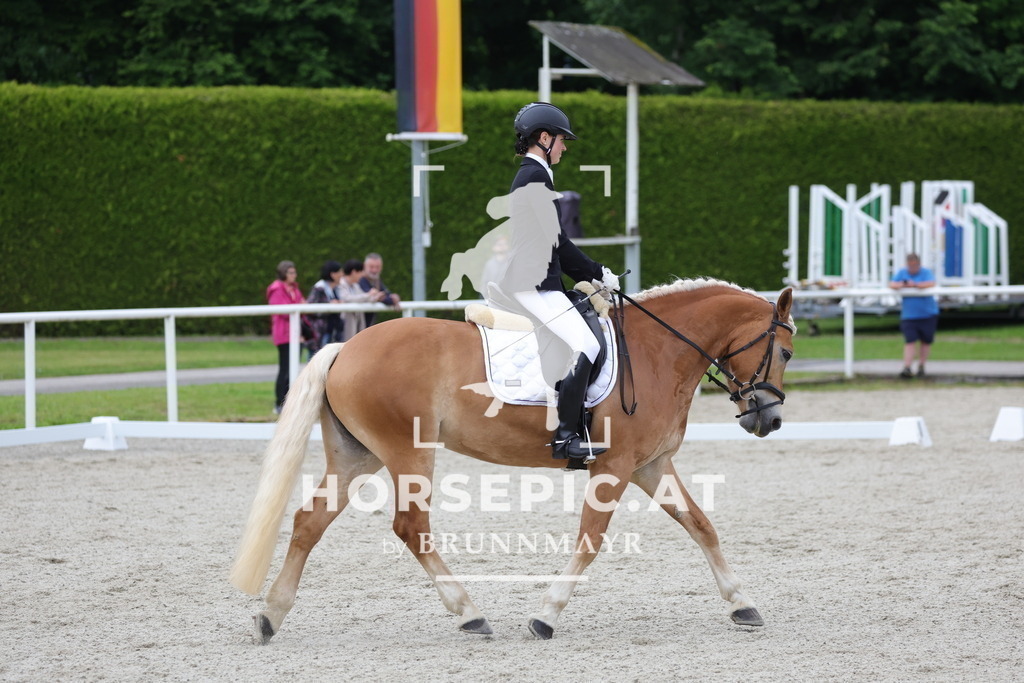 0P6A5216 | Willkommen bei Brunnmayr - Design & Fotografie – Ihrem Spezialisten für Reitturniere und Pferdeveranstaltungen in Oberösterreich, Salzburg und Bayern! Seit über 17 Jahren sind wir leidenschaftlich dabei.