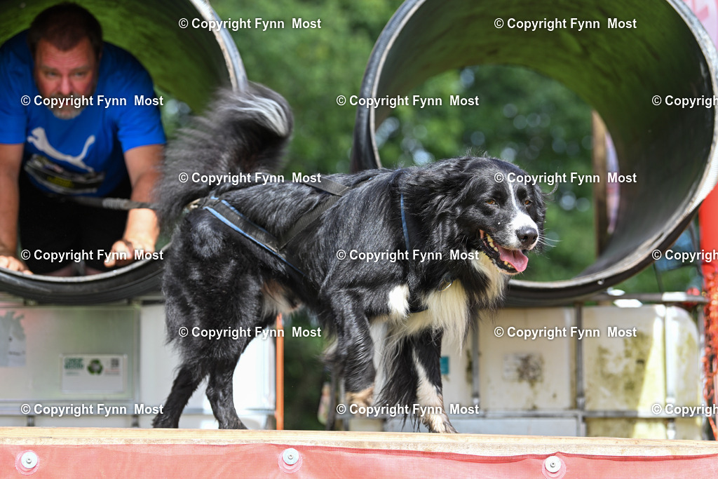 DSC_3386 | Hallo und herzlich Willkommen auf meiner Shop-Seite Fynn Most.

Ich wünsche Dir viel Spaß beim stöbern durch die Bilder, wenn Du Fragen hast oder Bilder vermisst, kannst du mir gerne eine Nachricht schreiben. - Realisiert mit Pictrs.com