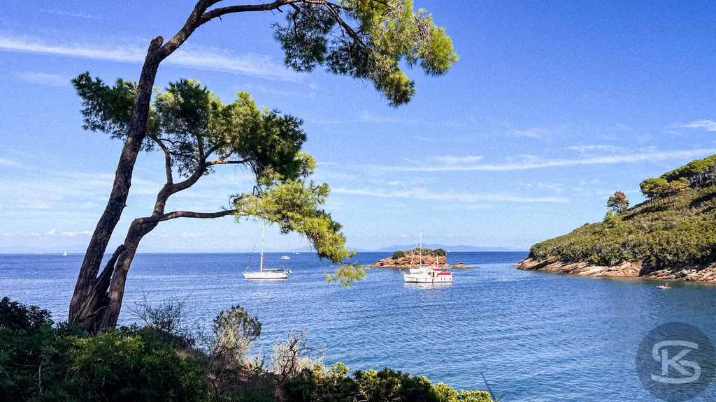 Mediterraner Küstentraum: Pinien am Meer, Spiaggia di Istia, Elba – Wandbild | Mediterrane Pinien am Ufer der Spiaggia Si Istia auf Elba, mit Blick auf das türkisblaue Meer, Küstenlandschaft und Boote im Hintergrund - Realisiert mit Pictrs.com