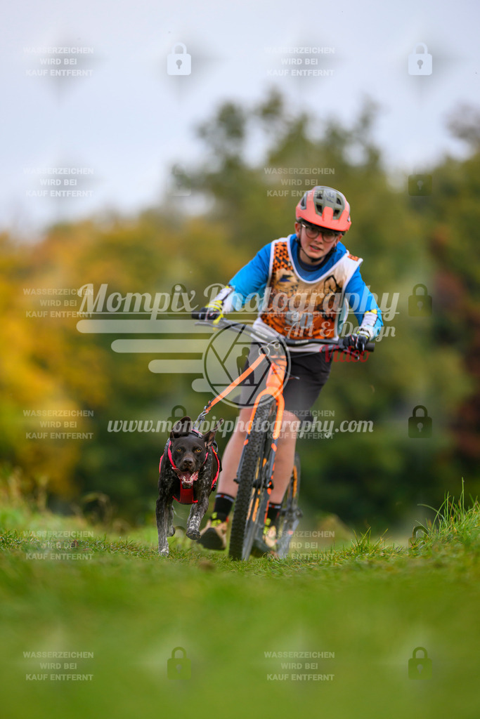 MompixPhotography_CDLBDB2025_DI_DS-96 | PayLife