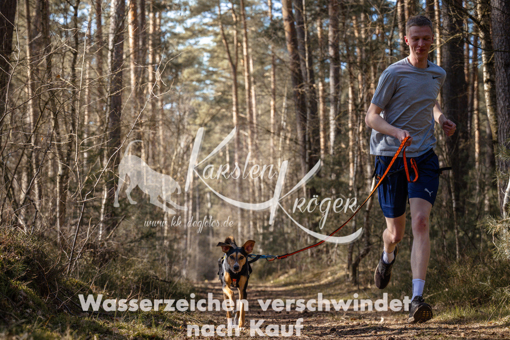1411_ZZ94822 | kk-dogfotos