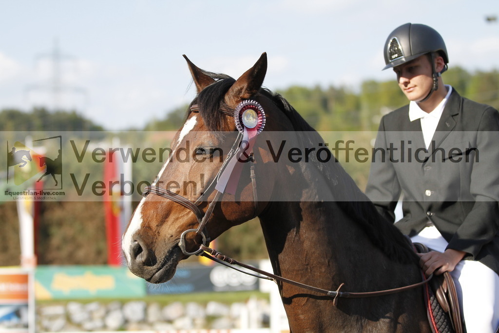 _MG_8375 | equestrian-live-com